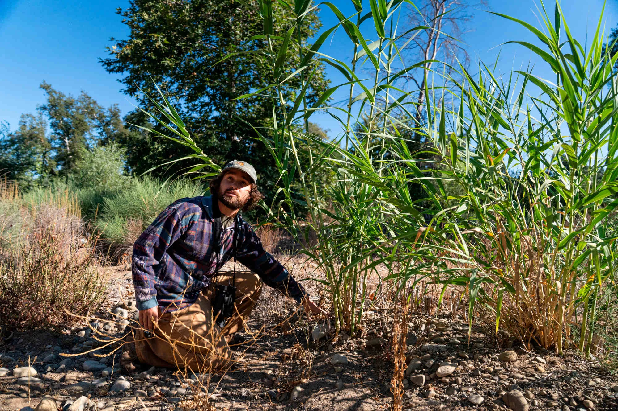 A person crouches under grass.