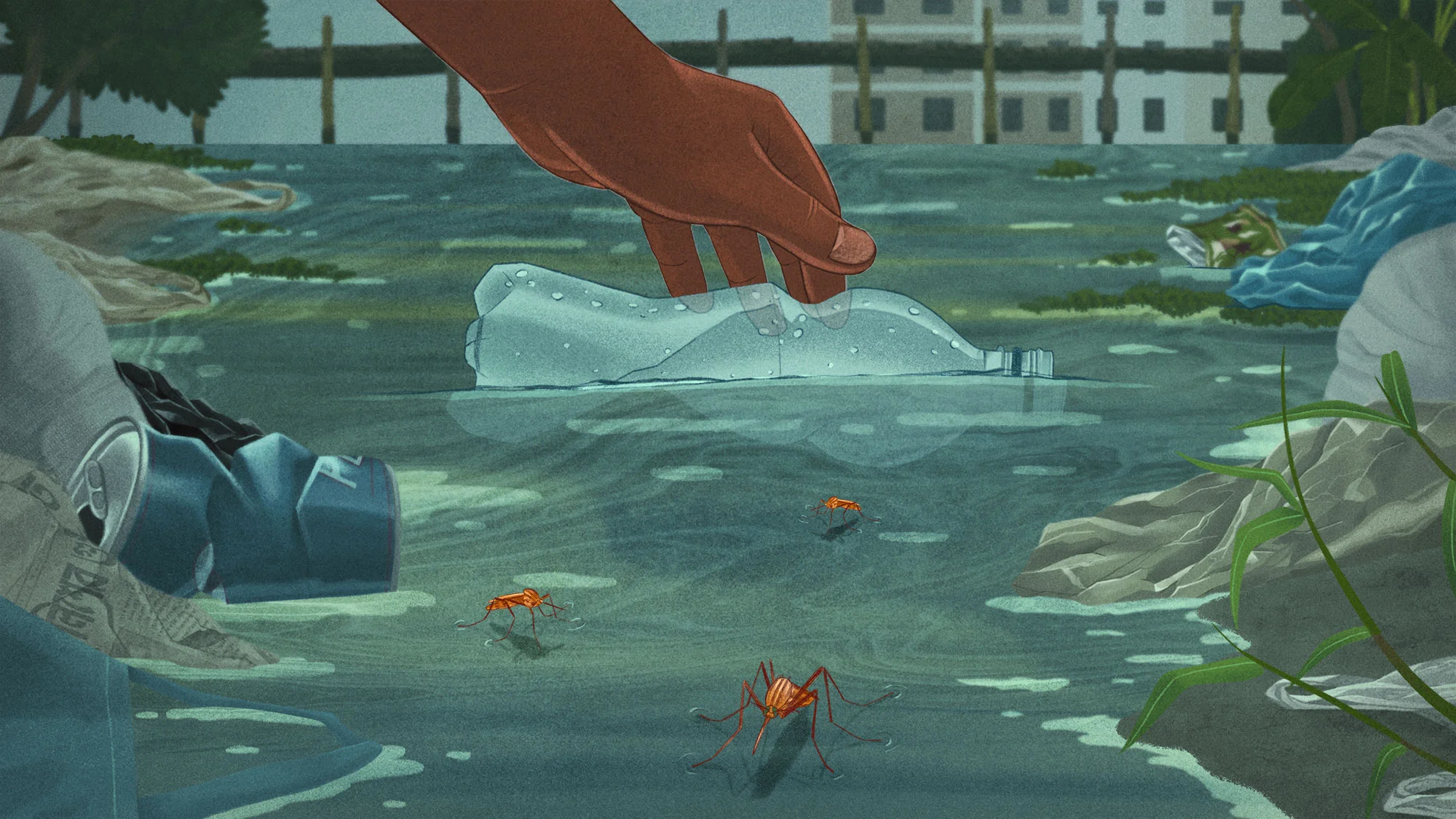 an illustration of a hand picking a water bottle out of a puddle or river. Along the banks, trash such as cans and plastic bags gather. TIny mosquitos dot the expanse of water between banks