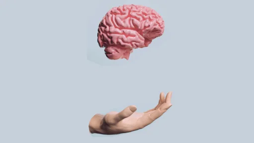 A human hand is positioned palm up below a floating anatomical model of a human brain against a plain light blue background.