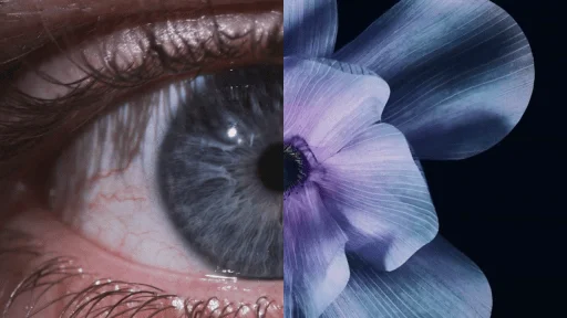 Close-up split image showing the left half of a human eye and the right half of a purple flower, highlighting the detail and texture of both subjects.
